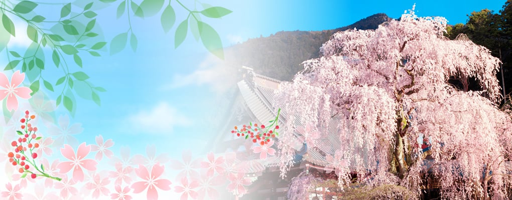 社会福祉法人　身延山福祉会